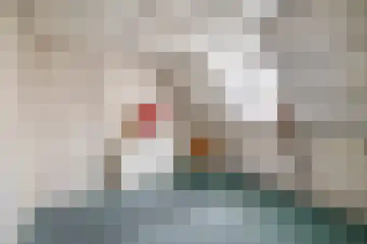 Gebroeders Hoeksstraat 16 Eersel thumbnail 24