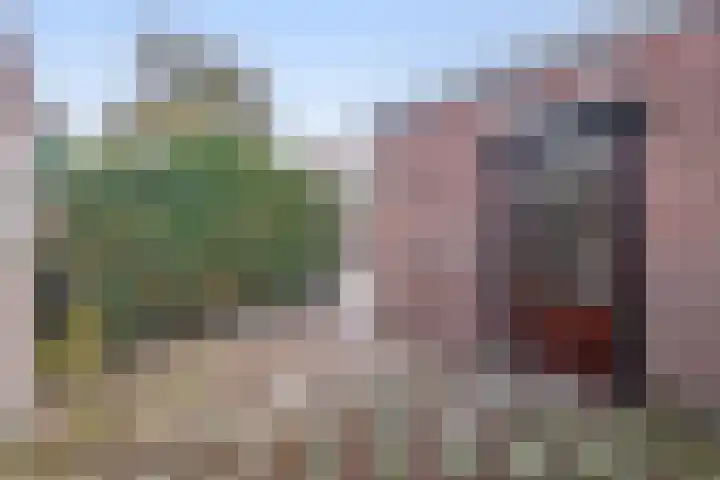 Gebroeders Hoeksstraat 16 Eersel thumbnail 25