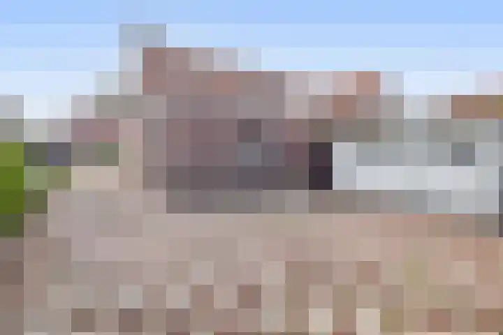 Gebroeders Hoeksstraat 16 Eersel thumbnail 27