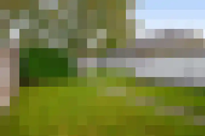 Gebroeders Hoeksstraat 16 Eersel thumbnail 28