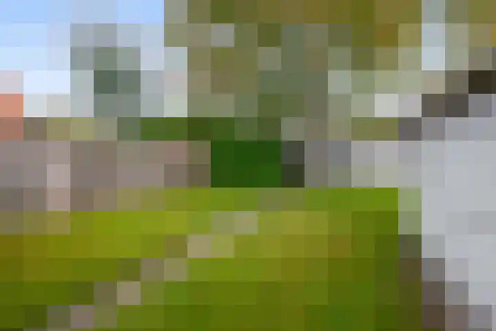 Gebroeders Hoeksstraat 16 Eersel thumbnail 29