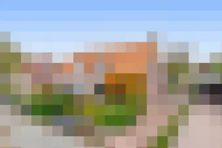 Gebroeders Hoeksstraat 16 Eersel thumbnail 31