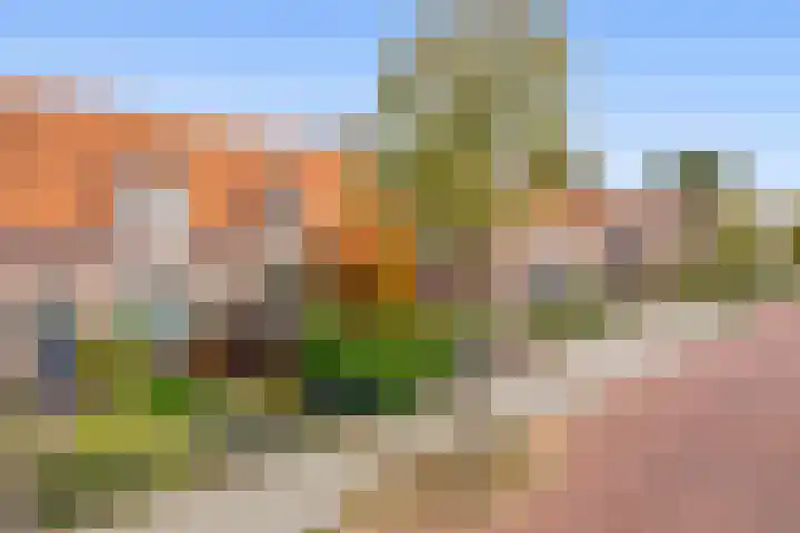 Gebroeders Hoeksstraat 16 Eersel thumbnail 32