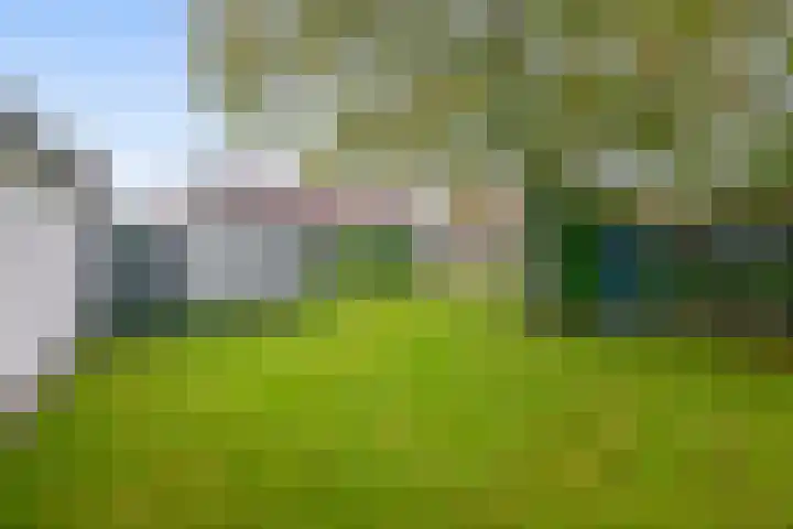 Gebroeders Hoeksstraat 16 Eersel thumbnail 4