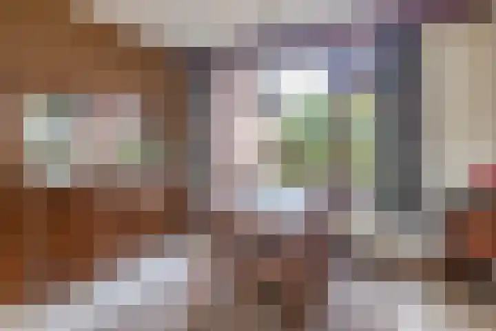 Gebroeders Hoeksstraat 16 Eersel thumbnail 9