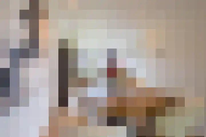 Gebroeders Hoeksstraat 26 Eersel thumbnail 12