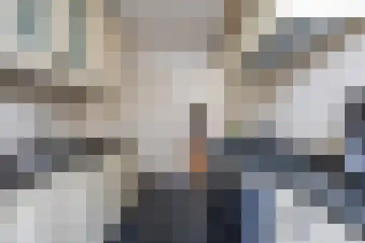 Gebroeders Hoeksstraat 26 Eersel thumbnail 14