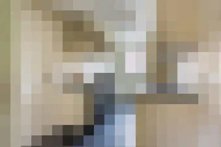 Gebroeders Hoeksstraat 26 Eersel thumbnail 15