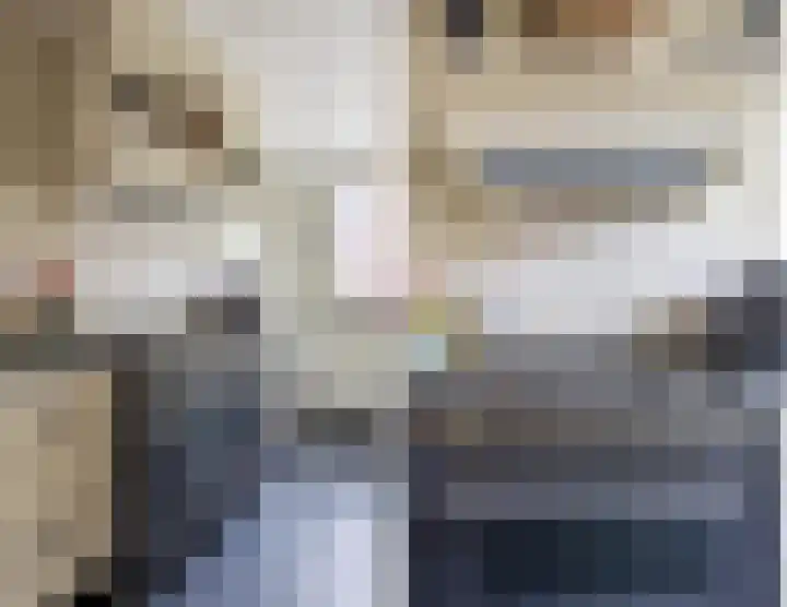 Gebroeders Hoeksstraat 26 Eersel thumbnail 16