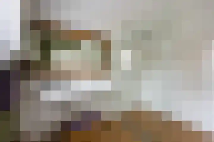Gebroeders Hoeksstraat 26 Eersel thumbnail 19