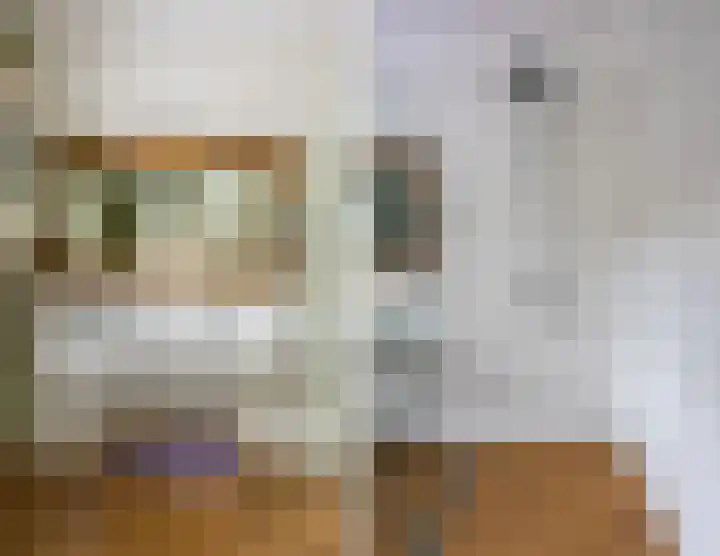 Gebroeders Hoeksstraat 26 Eersel thumbnail 20