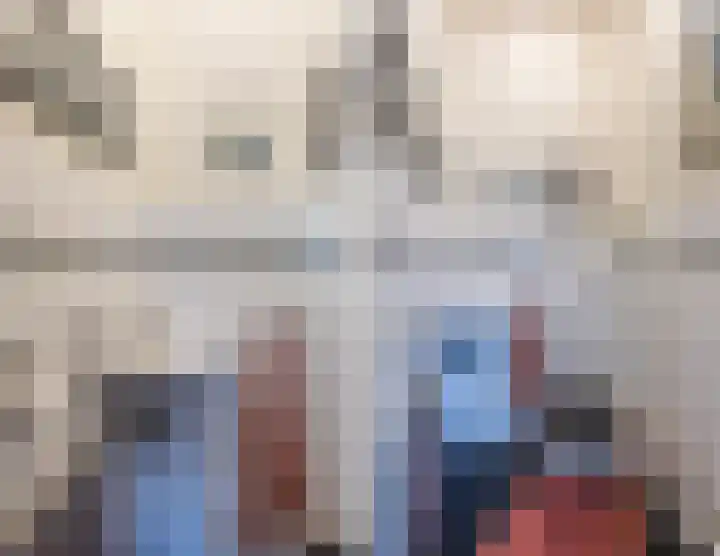 Gebroeders Hoeksstraat 26 Eersel thumbnail 21