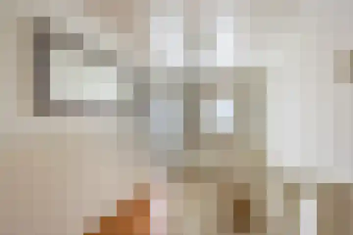 Gebroeders Hoeksstraat 26 Eersel thumbnail 23