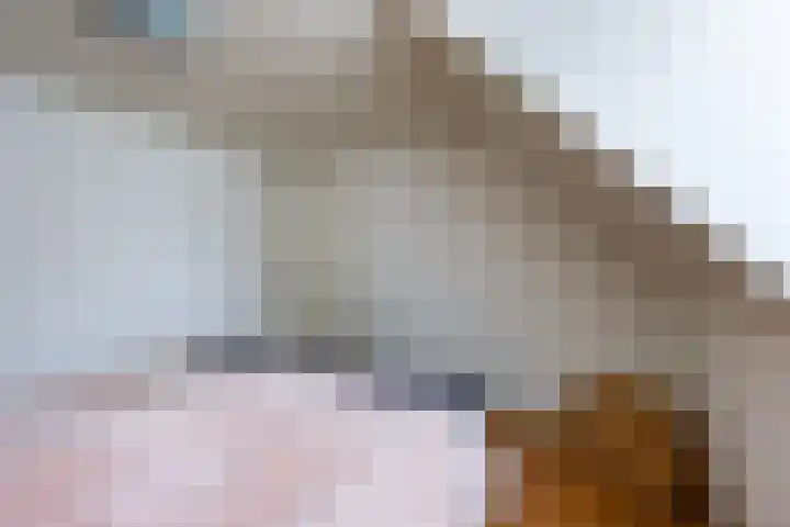 Gebroeders Hoeksstraat 26 Eersel thumbnail 25