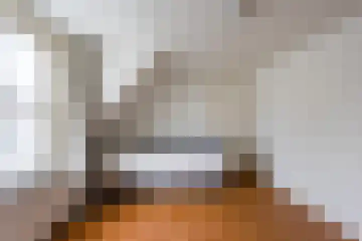 Gebroeders Hoeksstraat 26 Eersel thumbnail 27
