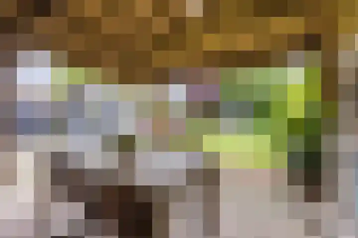 Gebroeders Hoeksstraat 26 Eersel thumbnail 33