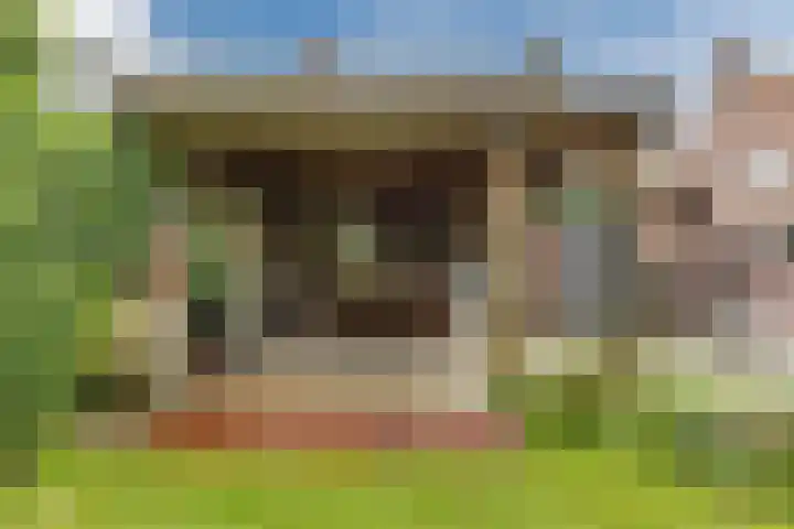 Gebroeders Hoeksstraat 26 Eersel thumbnail 34