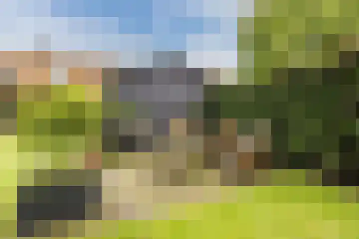 Gebroeders Hoeksstraat 26 Eersel thumbnail 37