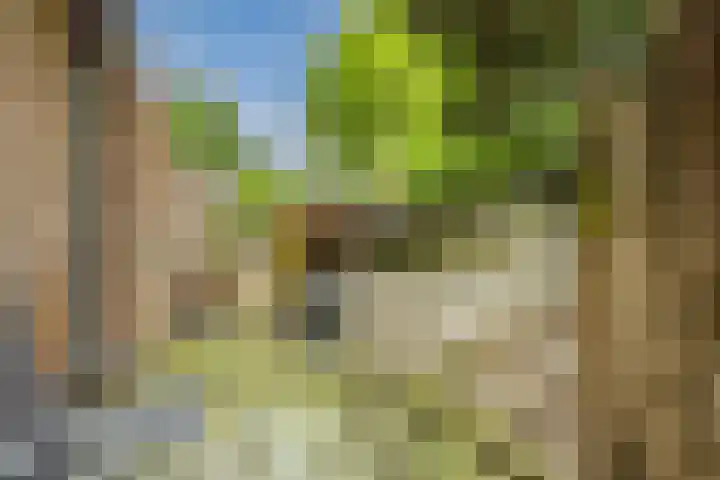 Gebroeders Hoeksstraat 26 Eersel thumbnail 39