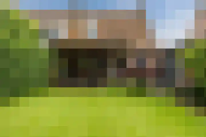 Gebroeders Hoeksstraat 26 Eersel thumbnail 40