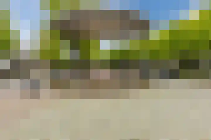 Gebroeders Hoeksstraat 26 Eersel thumbnail 43