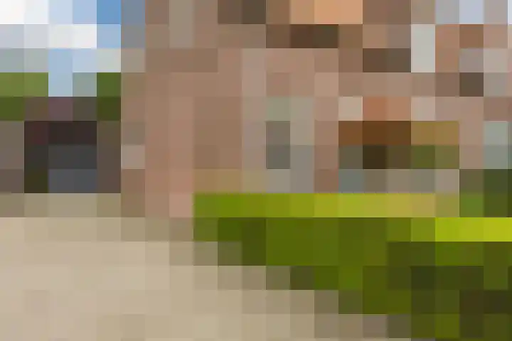 Gebroeders Hoeksstraat 26 Eersel thumbnail 5