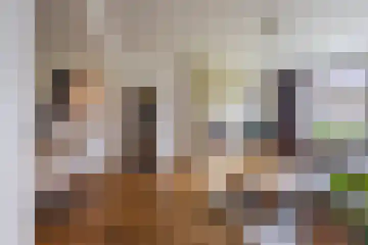 Gebroeders Hoeksstraat 26 Eersel thumbnail 7
