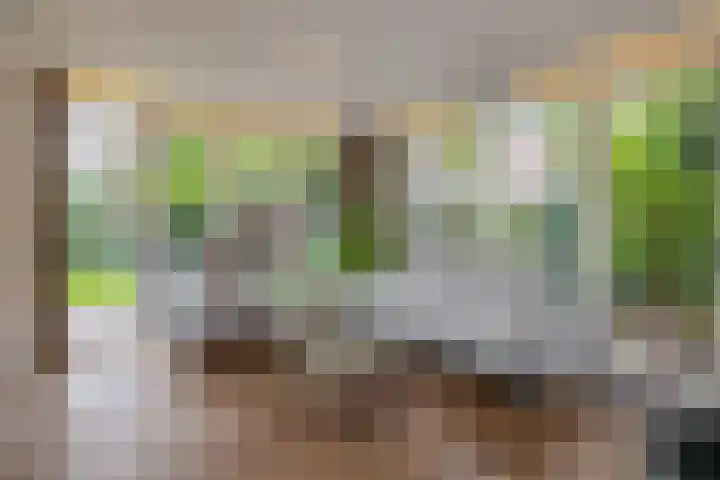 Gebroeders Hoeksstraat 9 Eersel thumbnail 11