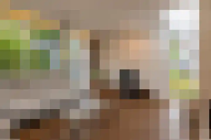 Gebroeders Hoeksstraat 9 Eersel thumbnail 14