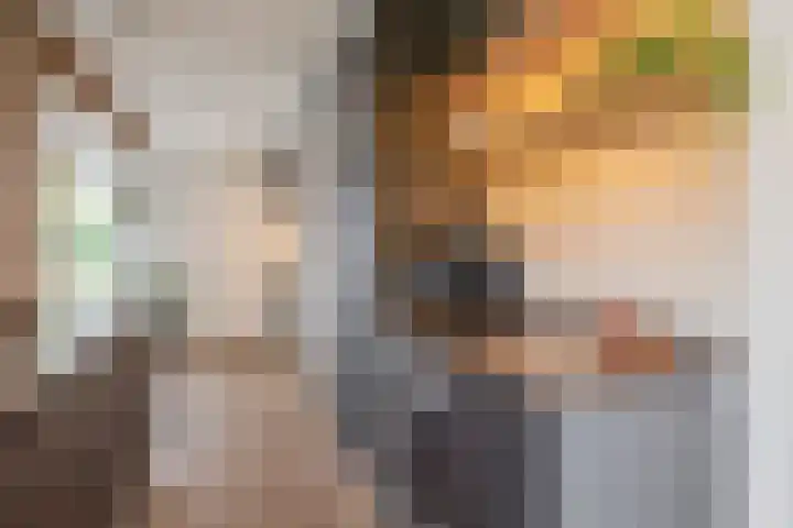 Gebroeders Hoeksstraat 9 Eersel thumbnail 24