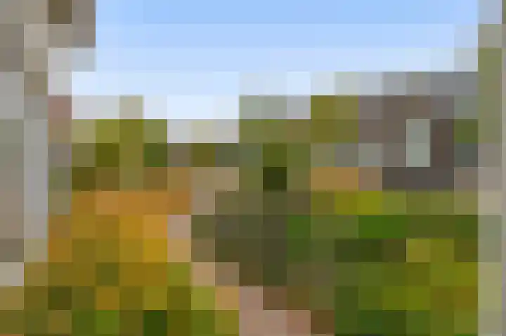 Gebroeders Hoeksstraat 9 Eersel thumbnail 46