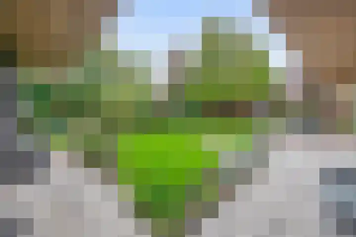 Gebroeders Hoeksstraat 9 Eersel thumbnail 47