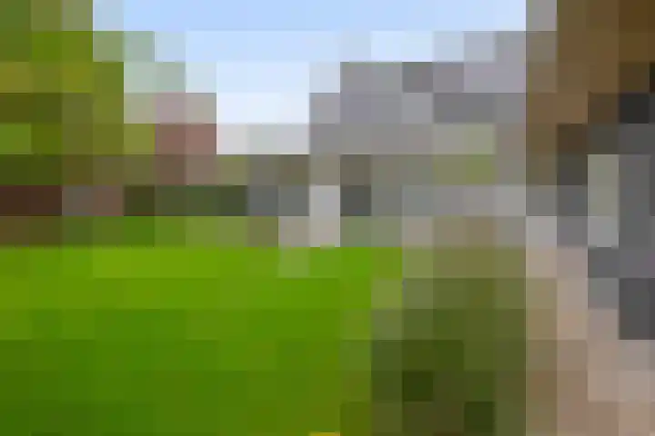 Gebroeders Hoeksstraat 9 Eersel thumbnail 49