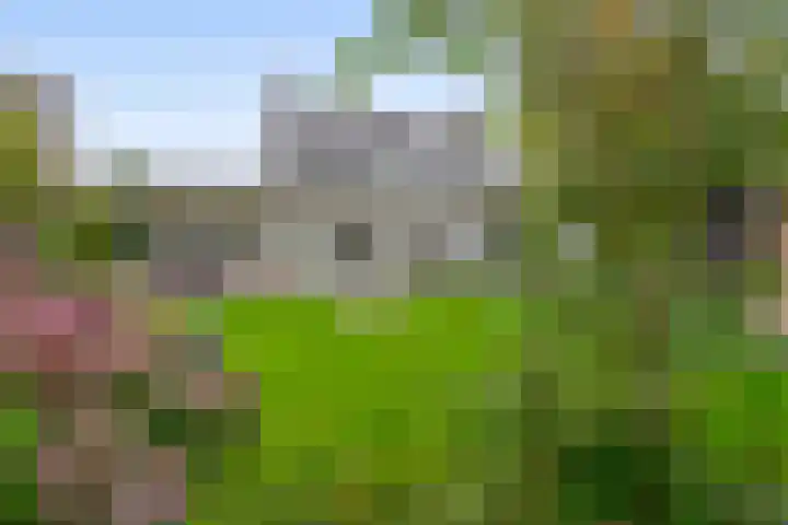 Gebroeders Hoeksstraat 9 Eersel thumbnail 5