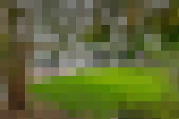 Gebroeders Hoeksstraat 9 Eersel thumbnail 50
