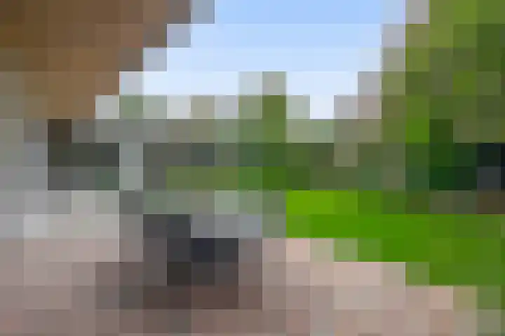 Gebroeders Hoeksstraat 9 Eersel thumbnail 51