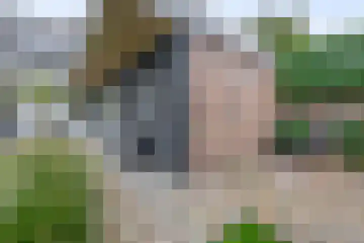 Gebroeders Hoeksstraat 9 Eersel thumbnail 52