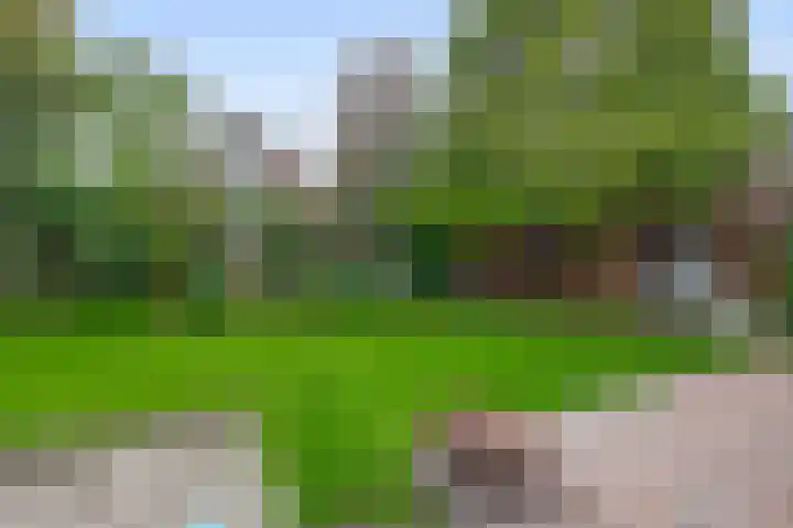 Gebroeders Hoeksstraat 9 Eersel thumbnail 54