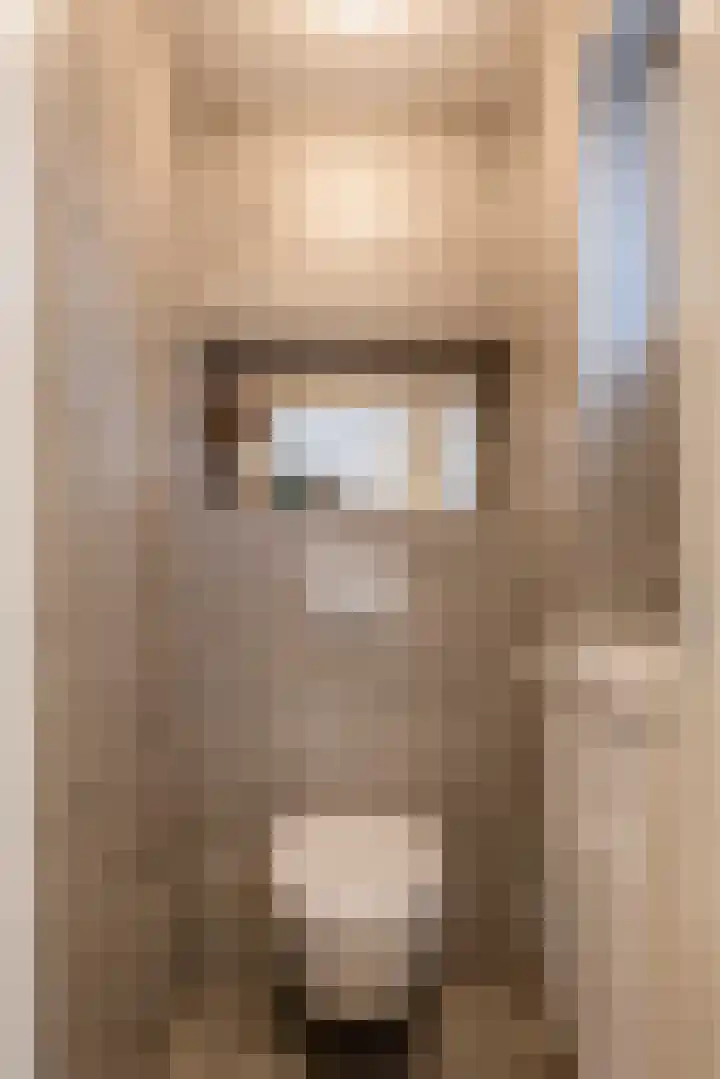 Gebroeders Hoeksstraat 9 Eersel thumbnail 9