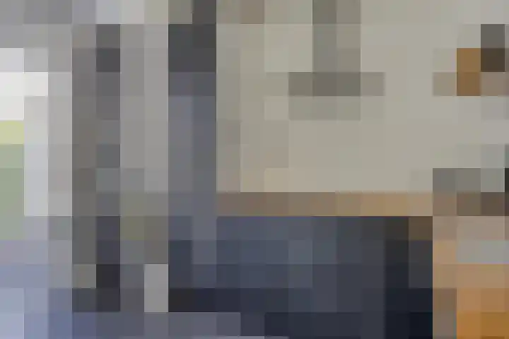 Gebroeders Marislaan 22 Nederhorst den Berg thumbnail 12