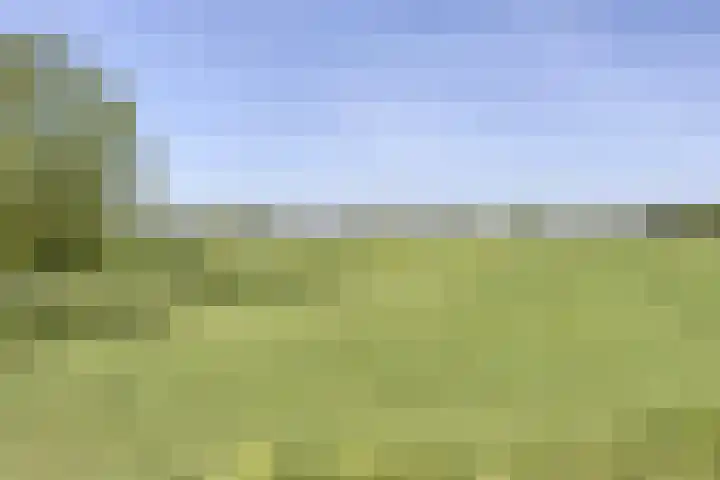 Gebroeders Marislaan 22 Nederhorst den Berg thumbnail 31