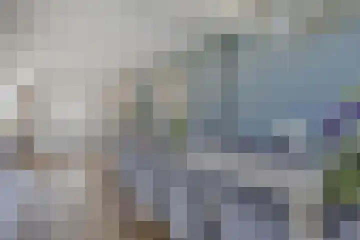 Gebroeders Marislaan 22 Nederhorst den Berg thumbnail 9
