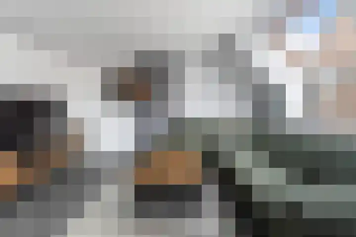 Gebroeders Potstraat 22 Nieuw-Lekkerland thumbnail 15