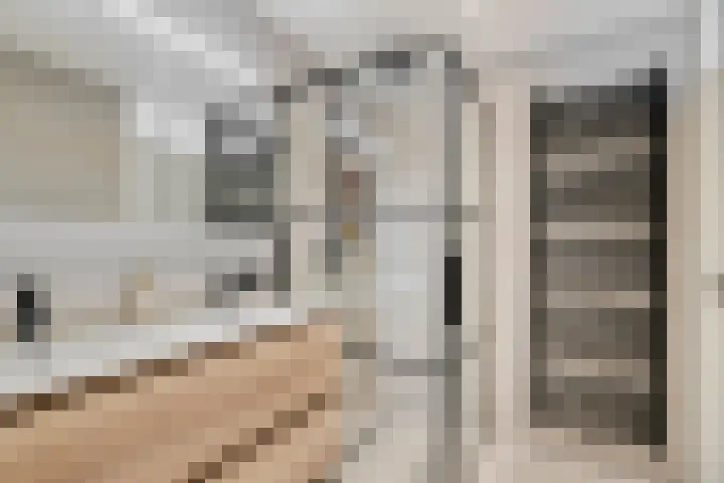 Gebroeders Schutstraat 12 Oisterwijk thumbnail 25