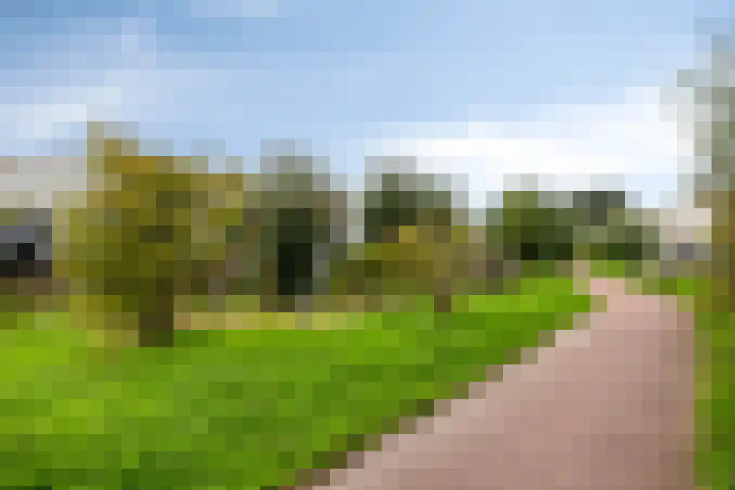 Gebroeders Schutstraat 12 Oisterwijk thumbnail 42