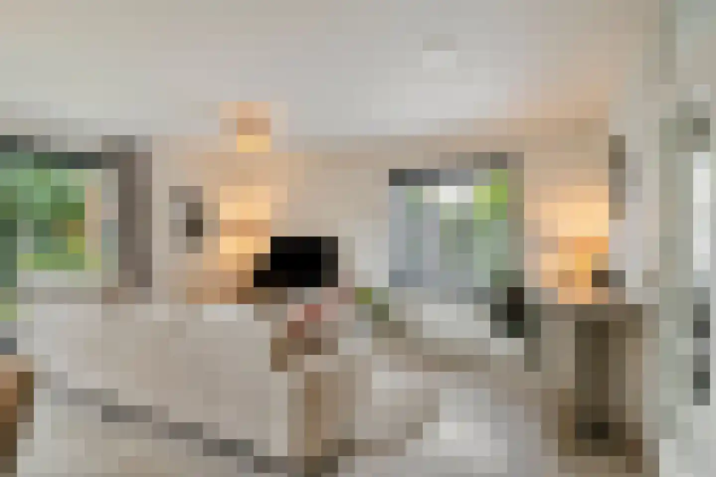 Gebroeders Schutstraat 12 Oisterwijk thumbnail 7
