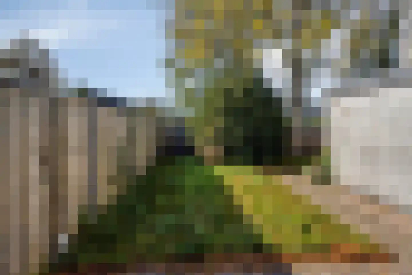 Gebroeders Schutstraat 4 Oisterwijk thumbnail 23