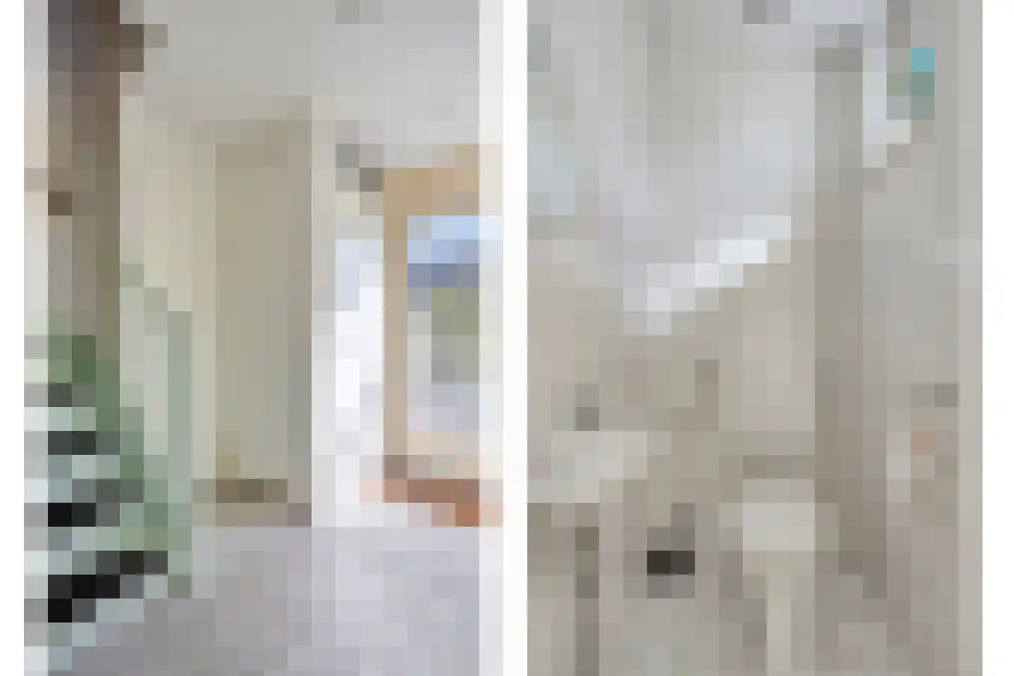 Gebroeders Schutstraat 4 Oisterwijk thumbnail 8