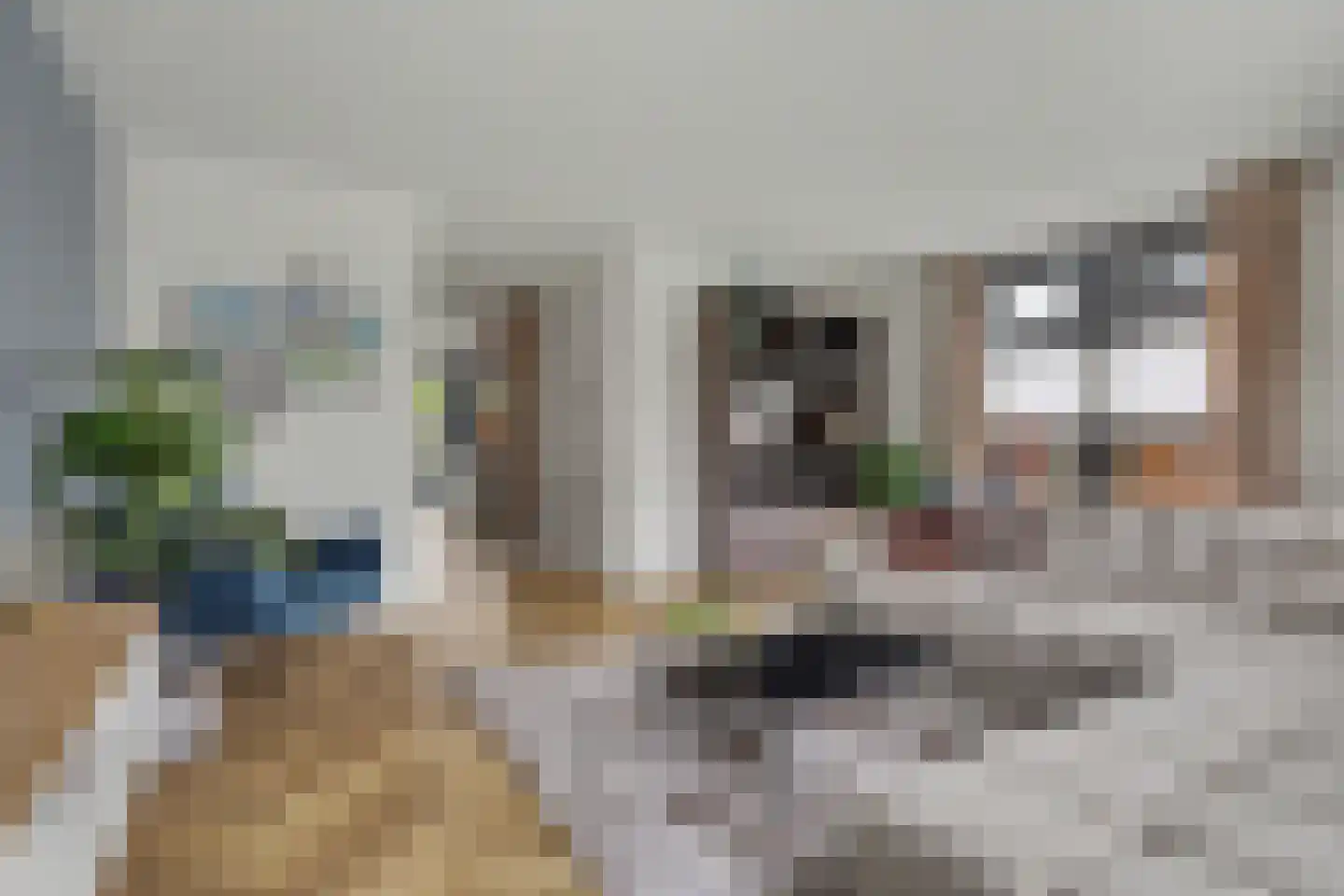 Gebroeders van Doorenstraat 10 Almelo thumbnail 11