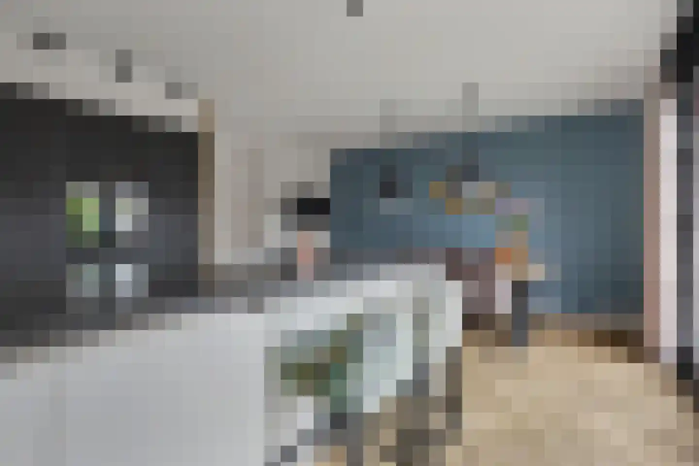 Gebroeders van Doorenstraat 10 Almelo thumbnail 18